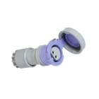 CEBA - Prise mobile 24V - 2P - 16A - P17 - IP67 - Norme CEE 17
