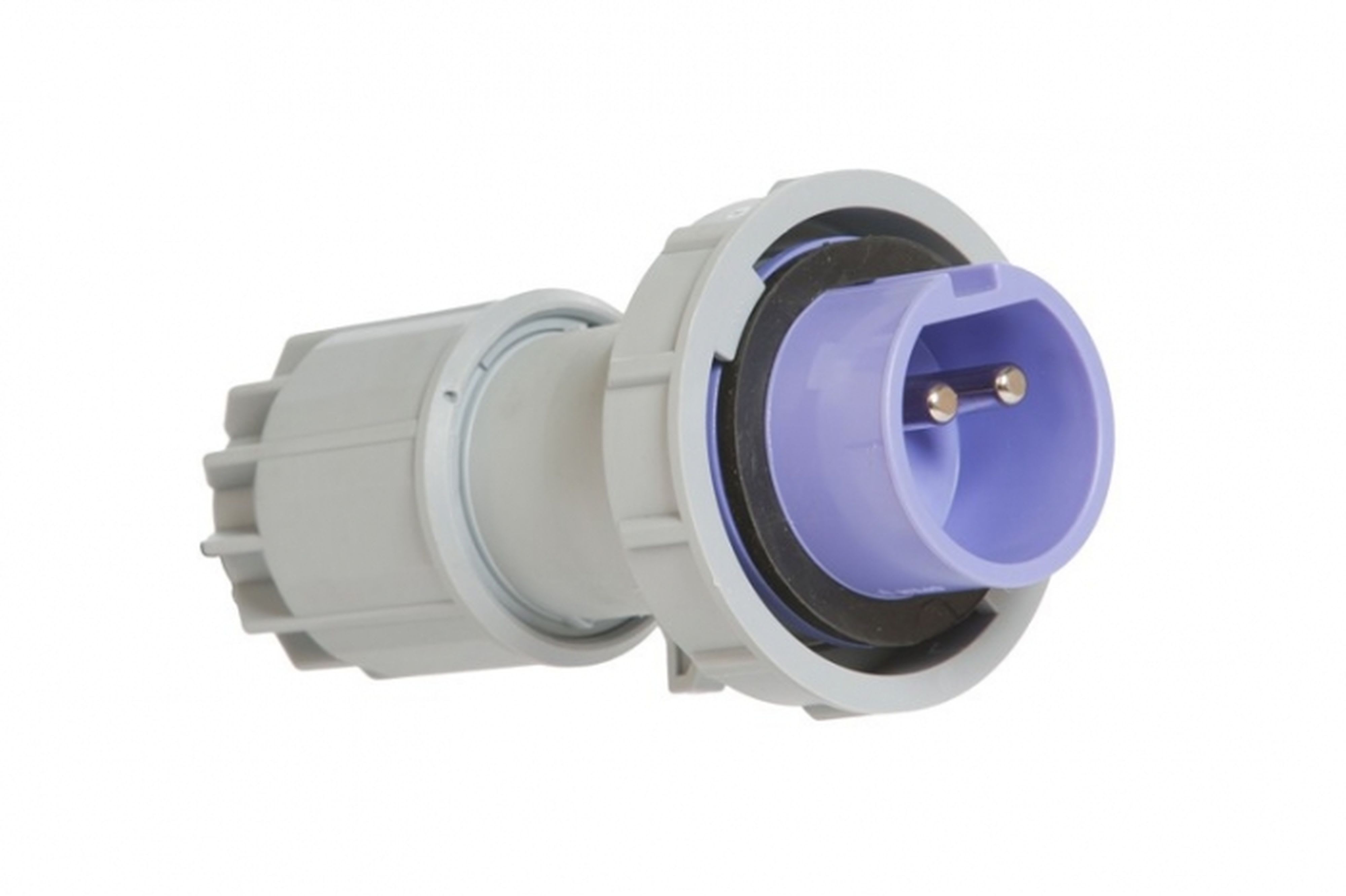 CEBA - Fiche mâle 24V - 2P - 16A - P17 - IP67 - norem CEE 17