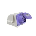 CEBA - Socle mural avec boîtier 24V - 2P - 16A - brochage européen type P17 - CEE 17