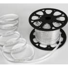 CEBA - Ruban 25m - 8W/m - 600lm/m - 120 led/m - câble d'alimentation et embout inclus