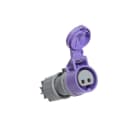 CEBA - Prise mobile 24V - 2P+T - 16A - norme CEE 17