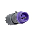 CEBA - Fiche mâle 24V - 2P - 16A - P17 - norme CEE 17