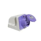 CEBA - Socle mural avec boîtier 24V - 2P - 16A - brochage européen type P17 - CEE 17
