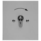 Somfy - Poussoir à clé à montage encastré - extérieur