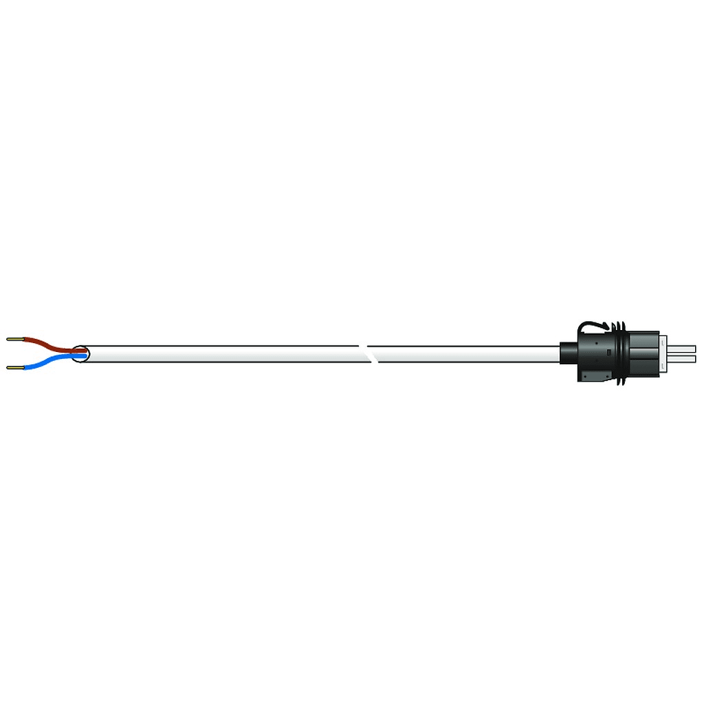 Somfy - Câble d?alimentation RS100 VVF longueur 1 m x1