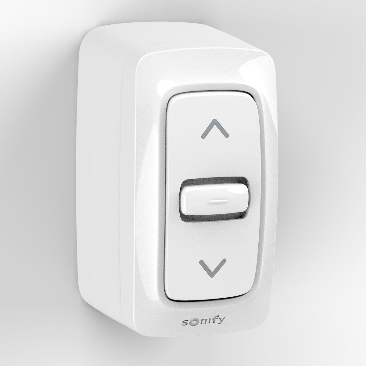 Somfy - Inis saillie pm