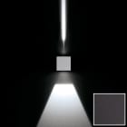 Flos Outdoor - LEO80 2W WH CAL LENTE+FASC BK