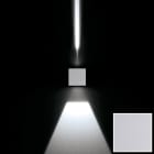 Flos Outdoor - LEO80 2W WH NAT LENTE+FASC BCO