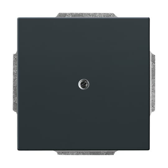 ABB - Enjoliveur Anthracite