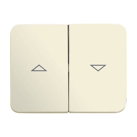 ABB - Enjoliveur Interrupteur Double Pour Store 22G Ivoire/Blanc