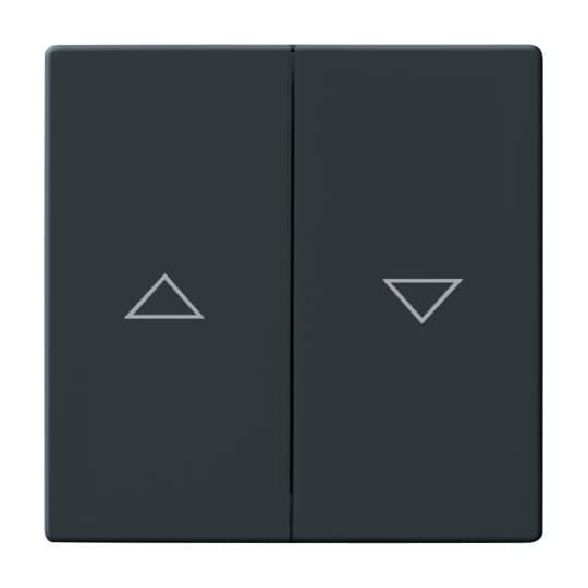ABB - Enjoliveur Interrupteur Double Pour Store 81 Anthracite