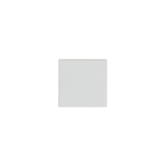 ABB - Plaque Centrale Interrupteur Simple Blanc Studio Mat
