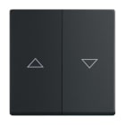 ABB - Enjoliveur Interrupteur Double Pour Store 885 Noir Mat