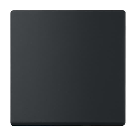 ABB - Plaque Centrale Interrupteur Simple Noir Mat