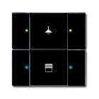 ABB - Poussoir 2 TouchesMultifonctions Anthracite