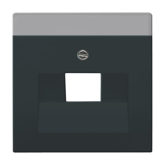 ABB - Enjo Simple Rj45 Anthracite-Future Linear