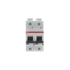 ABB - S800N Disjoncteur modulaire - 2P - 25A - Cbe C -Icu 36kA (3 modules) - Vis
