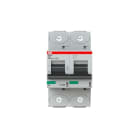 ABB - S800N Disjoncteur modulaire - 2P - 32A - Cbe D -Icu 36kA (3 modules) - Vis