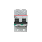 ABB - S800N Disjoncteur modulaire - 2P - 40A - Cbe D -Icu 36kA (3 modules) - Vis