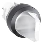 ABB - M2Ss3-11R Bouton Tournant lumineux 2 Positions C vers B
