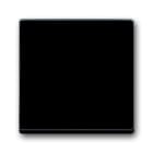 ABB - Futur Linear / Enjoliveur pour va et vient - Anthracite