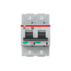 ABB - S800P Disjoncteur modulaire - 2P - 125A - Cbe D -Icu 50kA (3,5 modules) - Vis