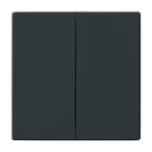 ABB - Futur Linear / Enjoliveur pour double va et vient - Anthracite