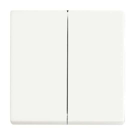 ABB - Futur Linear / Enjoliveur pour double va et vient - Blanc Mat