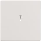 ABB - Enjoliveur 1 Touche 1 Led 1 Picto Lumière Futur Linear Blanc Studio