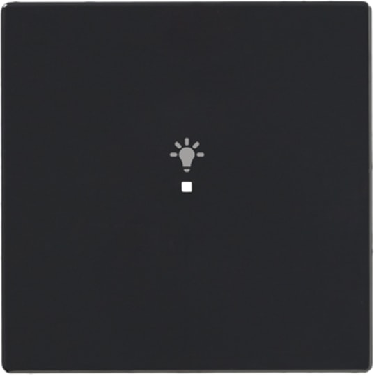 ABB - Enjoliveur 1 Touche 1 Led 1 Picto Lumière Futur Linear Anthracite