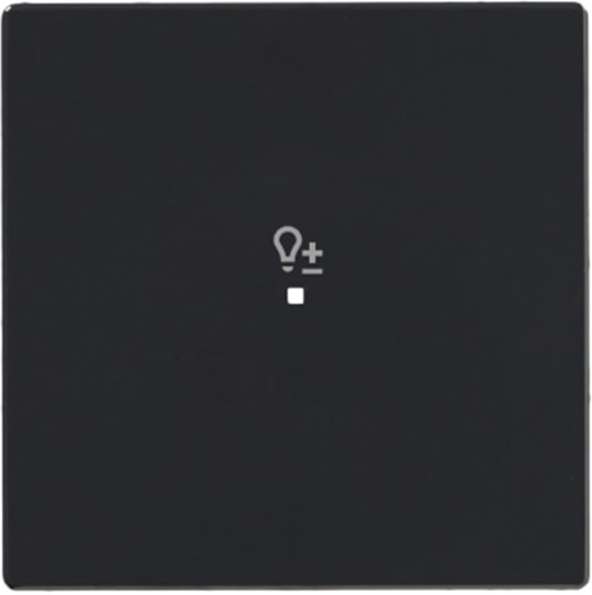 ABB - Enjoliveur 1 Touche 1 Led 1 Picto Variateur Futur Linear Anthracite