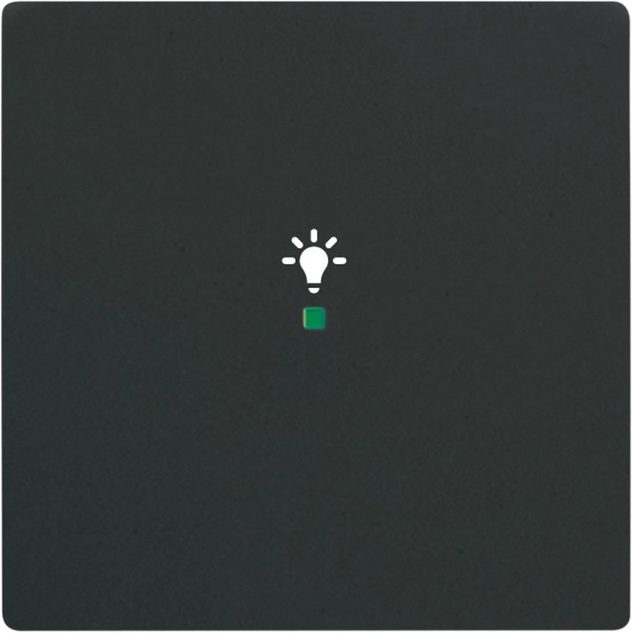 ABB - Enjoliveur 1 Touche 1 Led 1 Picto Lumière Futur Lnoir Mat