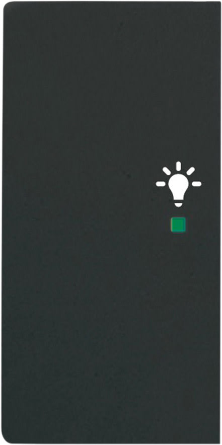 ABB - Enjoliveur 1/2 Touche G 1 Led 1 Picto Lumière Futur Lnoir Mat