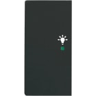 ABB - Enjoliveur 1/2 Touche G 1 Led 1 Picto Lumière Futur Lnoir Mat