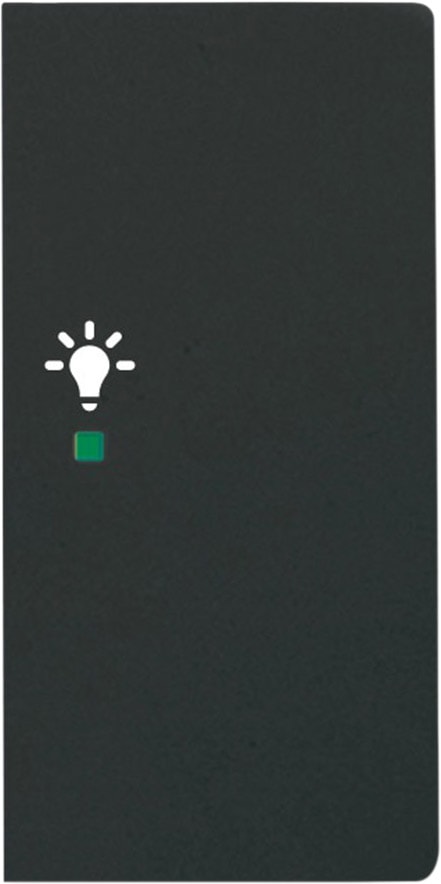 ABB - Enjoliveur 1/2 Touche D 1 Led 1 Picto Lumière Futur Lnoir Mat