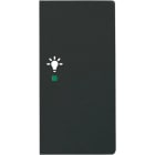 ABB - Enjoliveur 1/2 Touche D 1 Led 1 Picto Lumière Futur Lnoir Mat