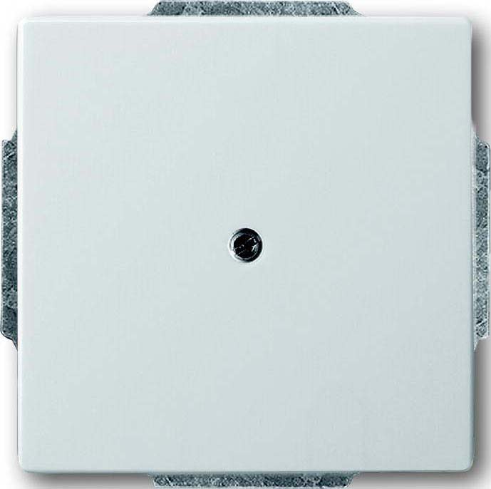 ABB - Plaque De Recouvrement Stainless Steel