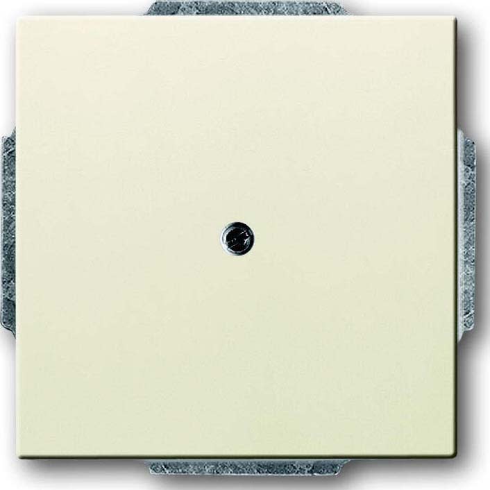 ABB - Plaque De Recouvrement Blanc Ivoire
