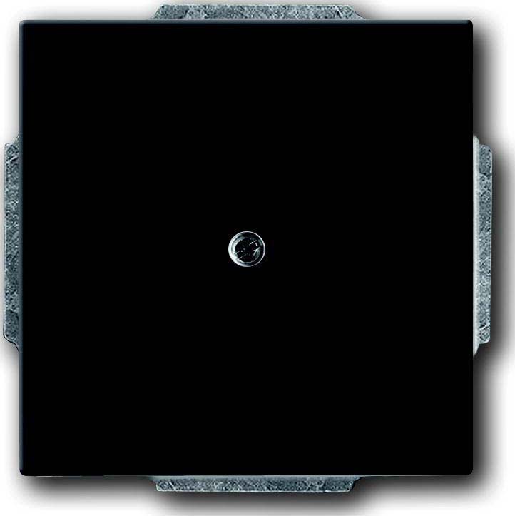 ABB - Plaque De Recouvrement Noir Mat