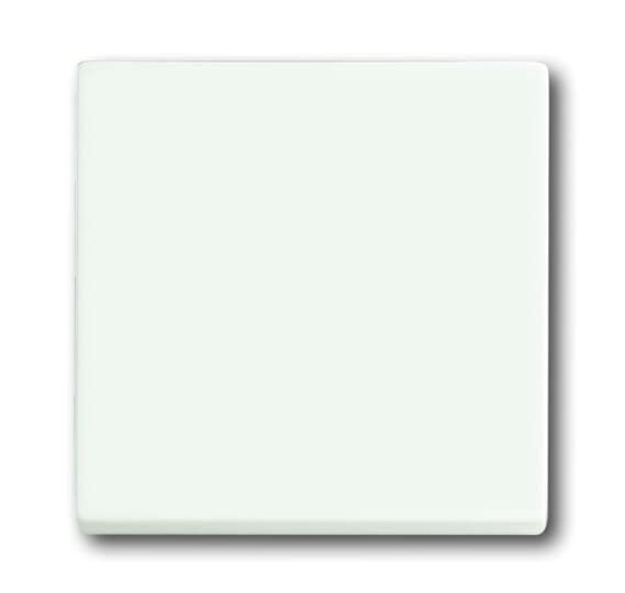 ABB - Futur Linear / Enjoliveur pour va et vient - Blanc Mat