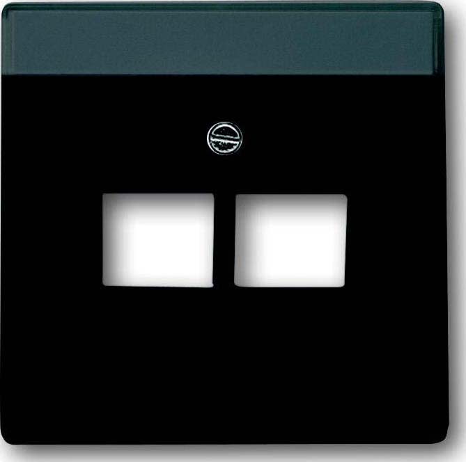 ABB - Enjo Double Rj45 Future Linear Anthracite