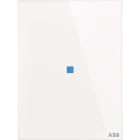 ABB - TB/U1.2.1-CG Inter tacteo KNX 1T V