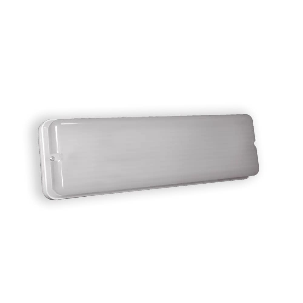 Ditel - Bloc autonome de sécurité (BAES) 210/160 Lumen Permanent 1h autonomie IP65 ALP