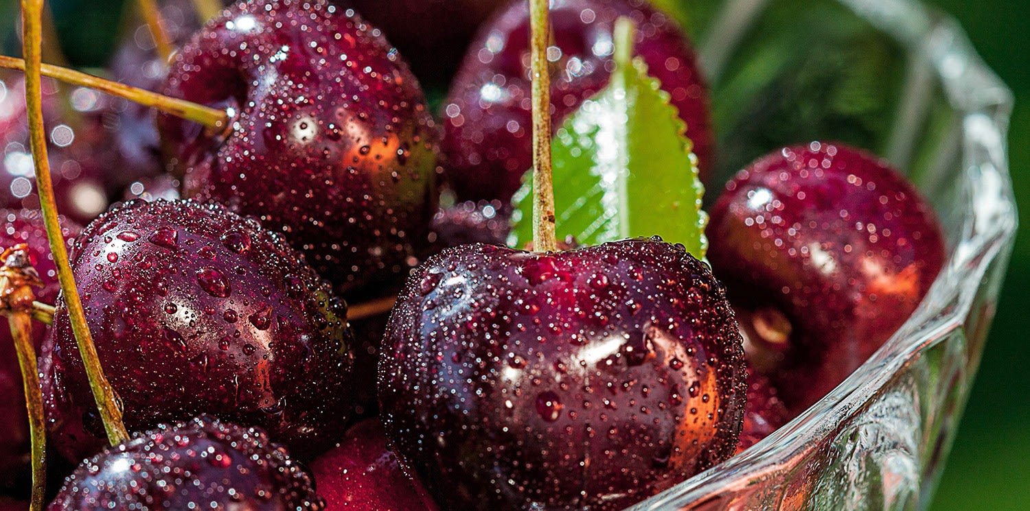 ACSO - Dynaver GS - 600W - Cherries - 1185x585x39 - Sans régul - 230V