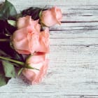 ACSO - Dynaver GS - 300W - Roses - 585x585x39 - Sans régul - 230V