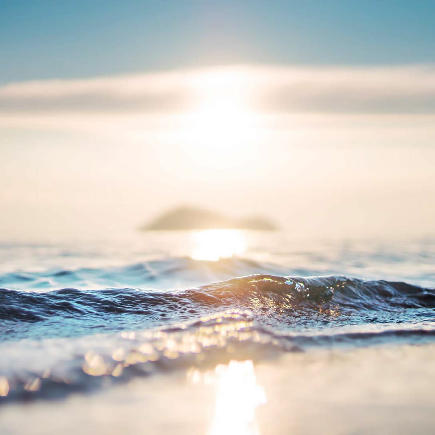 ACSO - Dynaver GS - 300W - Sea & Sunset - 585x585x39 - Sans régul - 230V