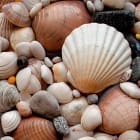 ACSO - Dynaver GS - 300W - Shells - 585x585x39 - Sans régul - 230V