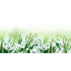 ACSO - Dynaver GS - 600W - Snowdrops - 1185x585x39 - Sans régul - 230V