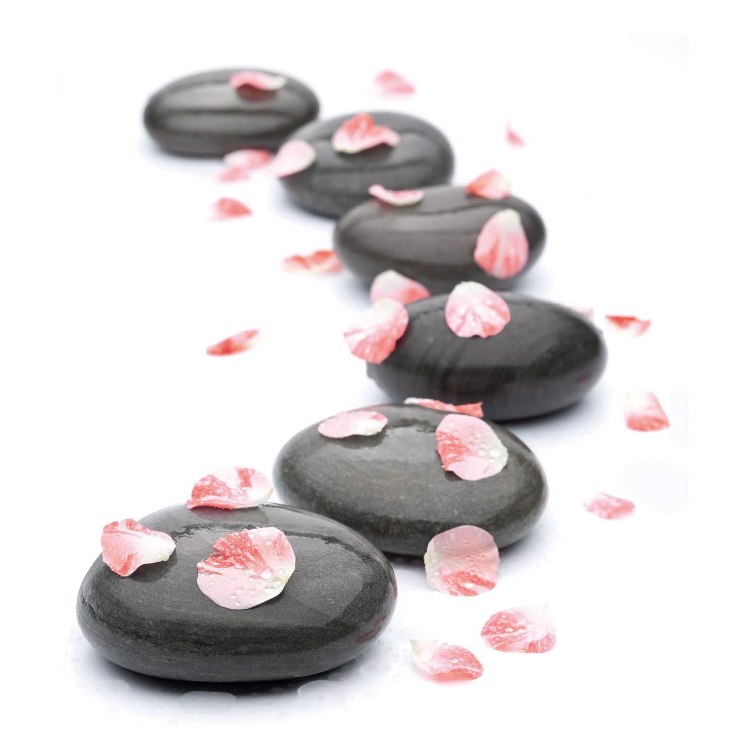 ACSO - Dynaver GS - 300W - Stones & Flowers - 585x585x39 - Sans régul - 230V