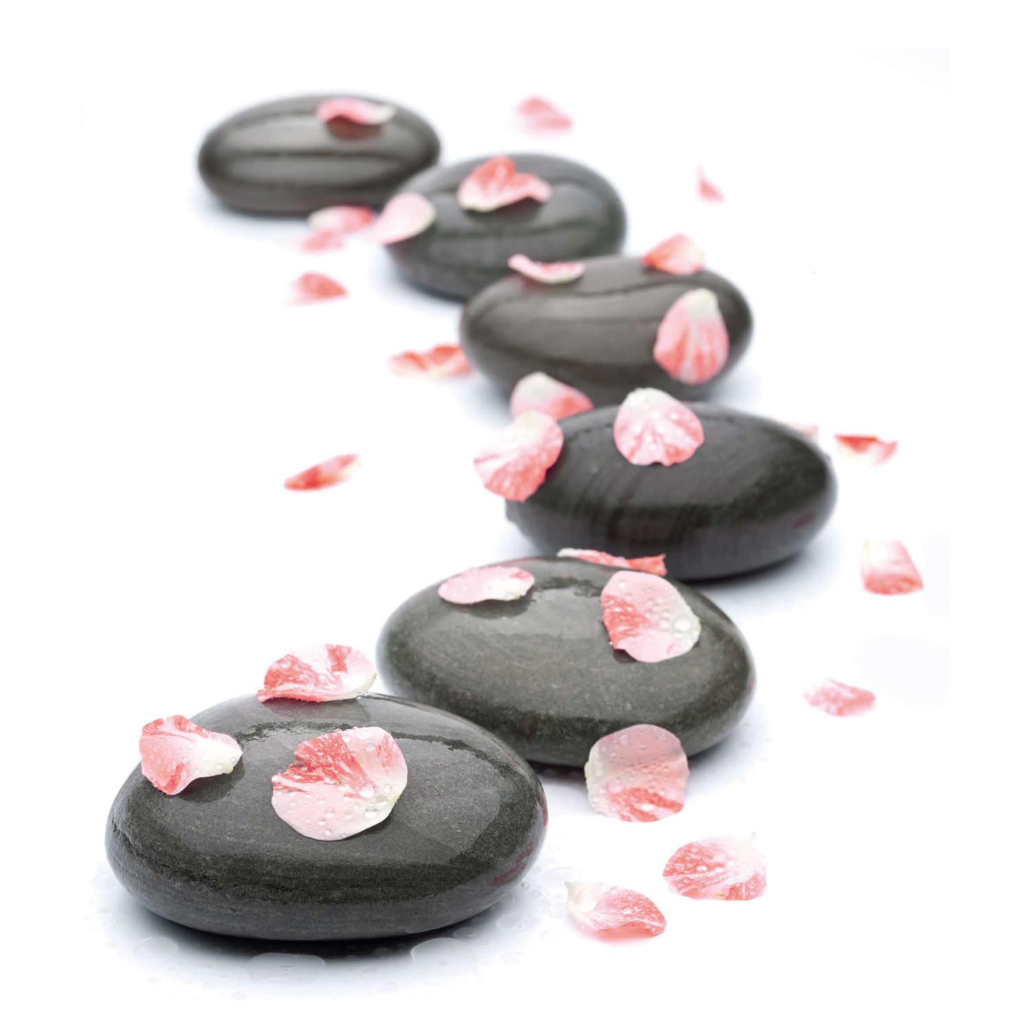 ACSO - Dynaver GS - 300W - Stones & Flowers - 585x585x39 - Sans régul - 230V